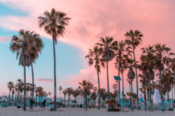 Venice Beach